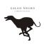 Galgo Negro Comunicación