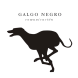 Galgo Negro Comunicación